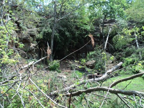 1986 Ford Bronco - A wooded area shows the aftermath of a storm with numerous fallen trees and branches.