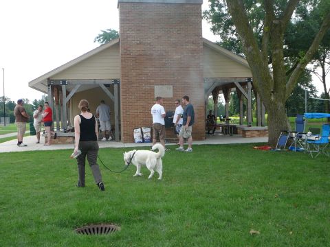 1999 Mercury Grand Marquis - A group of people are socializing at a park pavilion on a sunny day, with a white dog walking on the grass.