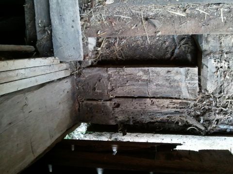 1985 Ford F-150 - A close-up view of weathered wooden beams and debris within a structure, with a website URL visible at the bottom.