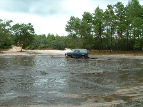 1995 Ford Bronco - A dark blue SUV navigates a muddy terrain, with trees and sand visible in the background.