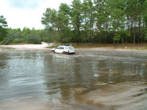 1995 Ford Bronco - A white SUV is stuck in a muddy area with trees in the background.