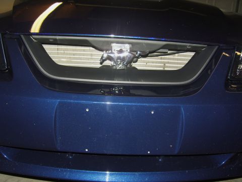 2007 Ford Mustang - Close-up of the front grille on a 2007 Ford Mustang, showing the iconic running horse emblem.