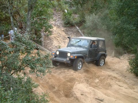 1995 Ford Bronco - A Jeep Wrangler navigates a challenging sandy incline surrounded by trees and foliage.