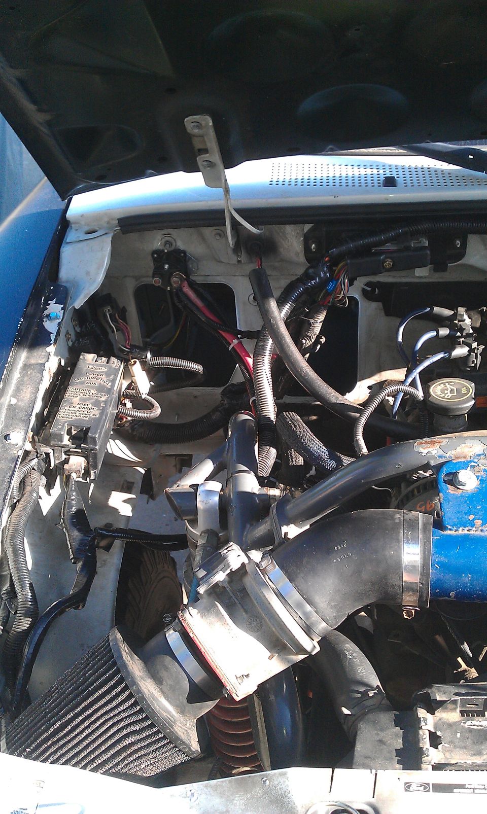 Engine bay with aftermarket air intake and blue engine block