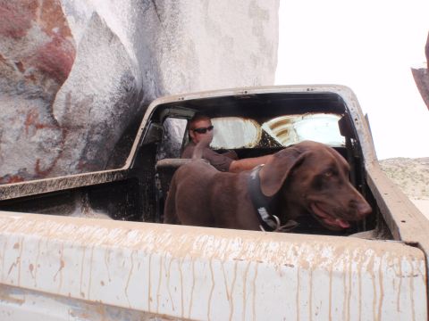 1978 Ford Bronco - A dog and its driver are in the bed of a dirty pickup truck, parked near large rocks.