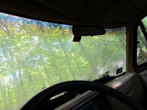 1991 Ford LTD Crown Victoria - The view from the driver's seat shows a dirty windshield with trees visible outside.