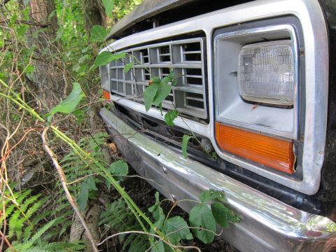 1991 Ford LTD Crown Victoria - This truck's front end is partially obscured by foliage, showing its grille and headlight.