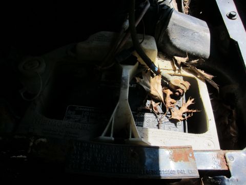 1991 Ford LTD Crown Victoria - The engine bay of a vehicle, showing a battery and various components covered in fallen leaves.