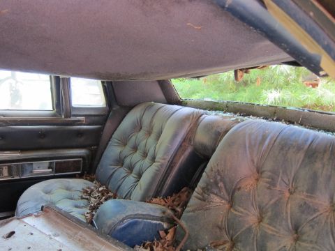 1991 Ford LTD Crown Victoria - The interior of a neglected car shows worn velour seats and debris scattered across the floor.