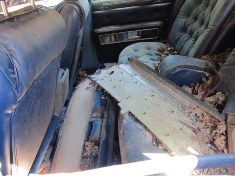 1991 Ford LTD Crown Victoria - The interior of a car shows significant wear and tear, with torn upholstery and fallen leaves scattered throughout the cabin.