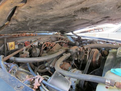 1991 Ford LTD Crown Victoria - The engine compartment shows signs of age and disuse, with rust and debris present.