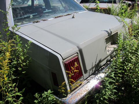 1991 Ford LTD Crown Victoria - A gray sedan sits in a field of weeds, showing its rear end and a partial license plate.