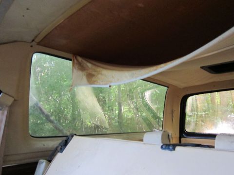 1991 Ford LTD Crown Victoria - The interior of a vehicle shows a damaged headliner and dirty windows, with foliage visible through the glass.