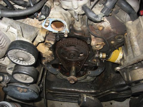 1994 Ford Bronco - Close-up view of an engine's timing chain and gears, with an oil filter in the background.