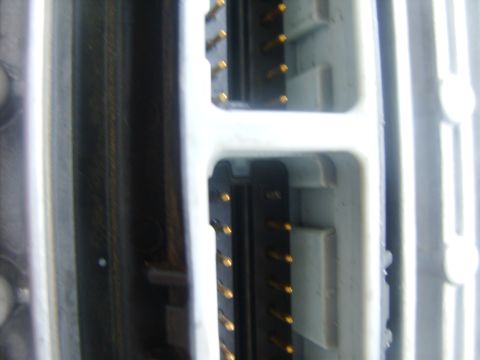 1995 Ford Bronco - Two electrical connectors with multiple gold pins are visible in this close-up view.