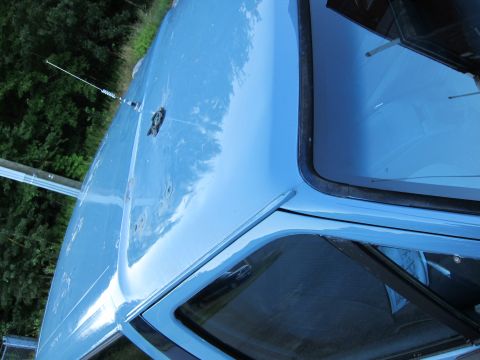 2001 Ford Crown Victoria - The roof of a blue sedan shows an antenna and several dents, with reflections of trees and sky.