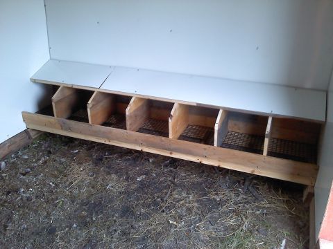 2000 Chevrolet Tahoe - A row of wooden nesting boxes, likely for chickens, is shown with wire mesh bottoms and a dirt floor.