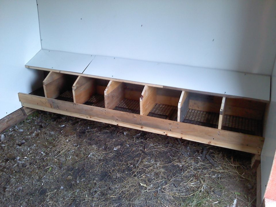 Wooden chicken nesting boxes with wire mesh bottoms