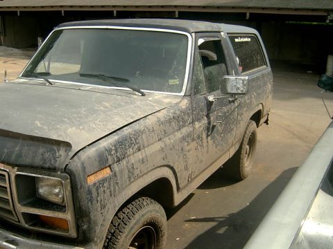 1982 Ford Bronco - This heavily soiled Ford Bronco is parked outdoors, showing its front and side profile.
