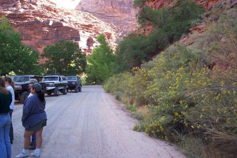 1990 Ford Bronco - While driving on this..........