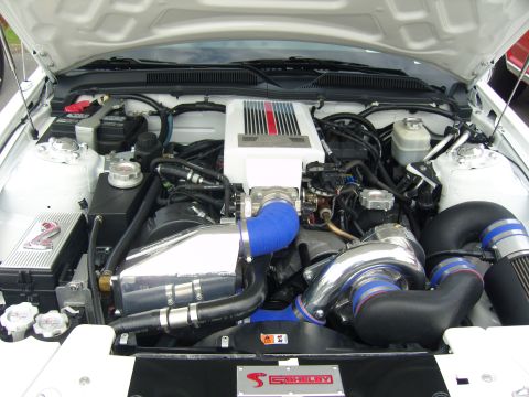 2007 Ford Mustang - Engine bay of a 2007 Ford Mustang, modified with a supercharger and Shelby components.