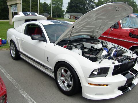 2007 Ford Mustang - A white 2007 Ford Mustang Shelby GT500 is displayed with its hood open, revealing the engine compartment.
