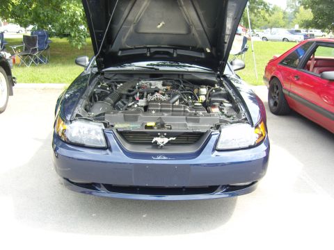 2007 Ford Mustang - Front view of a dark blue Ford Mustang with its hood open, revealing the engine bay.