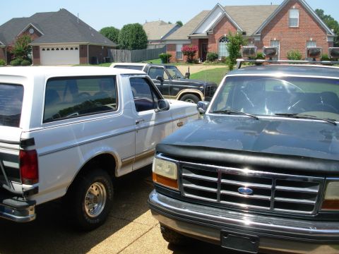1983 Ford Bronco - They're coagulating! The white '95XLT is my neighbor's, and the green '93 belongs to a guy I met thru CraigsList. Both are getting some muc…