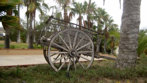 1996 Ford Bronco - A rustic wooden cart with large spoked wheels is parked on the grass, surrounded by palm trees.