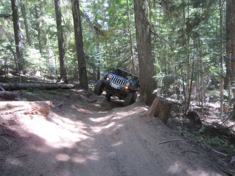 2008 Jeep Wrangler - A Jeep Wrangler navigates a steep, wooded trail with significant articulation.