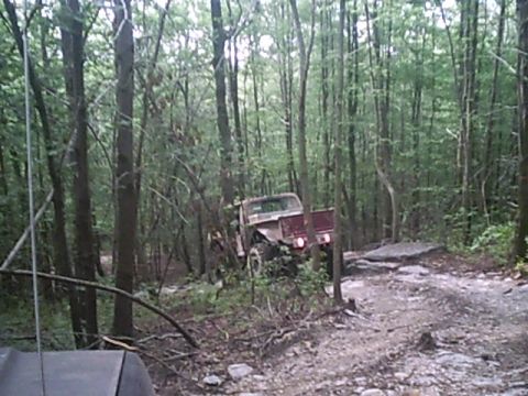 1988 Ford Bronco - A red off-road truck is seen on a challenging trail surrounded by dense forest.