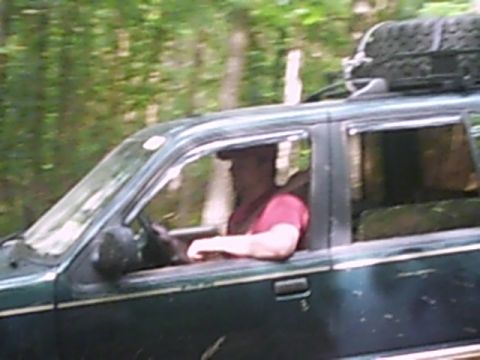 1988 Ford Bronco - A dark green SUV navigates a wooded path, its spare tire secured to the roof rack.