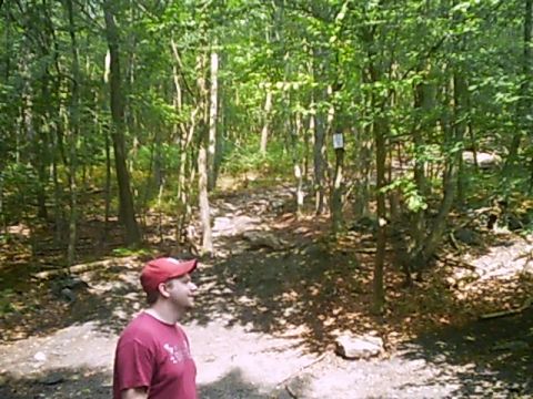 1988 Ford Bronco - A man stands by a wooded trail during an outdoor excursion.