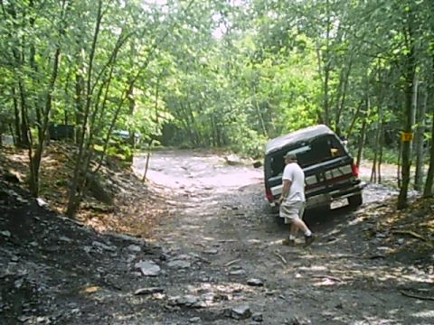 1988 Ford Bronco - A black SUV navigates a rough, wooded path, with another vehicle visible in the distance.