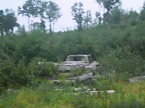 1988 Ford Bronco - An old pickup truck sits abandoned and overgrown in a field of weeds and brush.