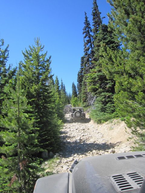 2008 Jeep Wrangler - A convoy of Jeeps navigates a challenging off-road path surrounded by tall evergreen trees under a clear blue sky.