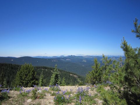 2008 Jeep Wrangler - A vast expanse of forested mountains stretches to the horizon under a bright blue sky, with wildflowers in the foreground.