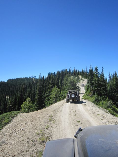 2008 Jeep Wrangler - Multiple Jeep Wranglers navigate a winding dirt road through a dense forest under a bright blue sky.
