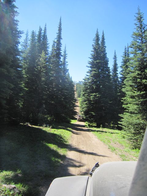 2008 Jeep Wrangler - Two vehicles ascend a steep, tree-lined dirt road under a clear blue sky.