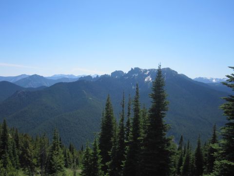 2008 Jeep Wrangler - A vast mountain range covered in dense pine forests stretches towards jagged, snow-dusted peaks under a bright blue sky.