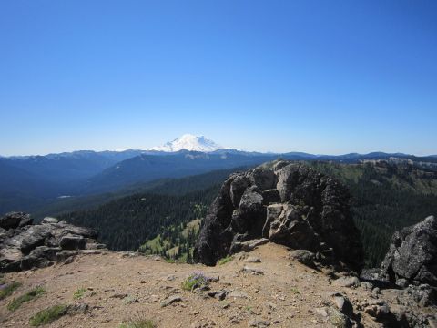 2008 Jeep Wrangler - A panoramic view from a rocky mountain peak shows a dense forest stretching towards a distant, snow-covered mountain range.