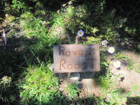 2008 Jeep Wrangler - A rustic metal sign with carved lettering reads 'Ravens Roost' amidst green foliage and white daisies.