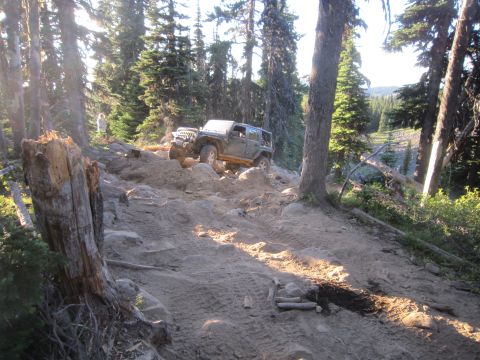 2008 Jeep Wrangler - A Jeep Wrangler navigates a challenging off-road path in a wooded area.