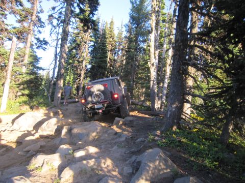 2008 Jeep Wrangler - Jeep Wrangler navigates a challenging, rocky path in a dense forest environment.