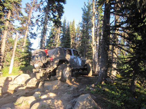 2008 Jeep Wrangler - A gray 2008 Jeep Wrangler tackles a challenging rocky trail surrounded by tall trees on a sunny day.