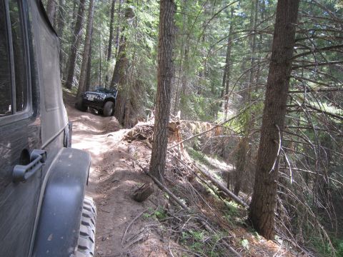 2008 Jeep Wrangler - Two Jeep Wranglers navigate a narrow dirt path through a dense forest.