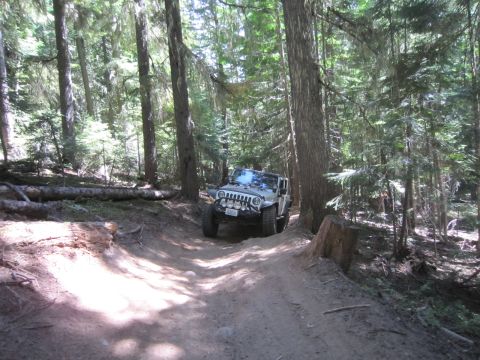 2008 Jeep Wrangler - Jeep Wrangler navigates a wooded trail, sunlight filtering through the trees.