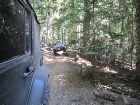 2008 Jeep Wrangler - Off-roading through a dense forest with multiple vehicles navigating a challenging trail.