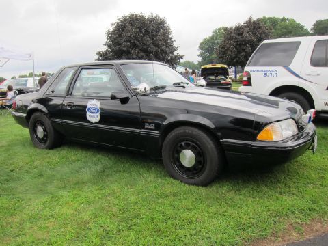 1991 Ford LTD Crown Victoria - black Fox-body Ford Mustang coupe with a Ford Police Vehicle door decal and 5.0 badge sits on grass at a show.