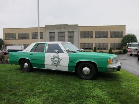 1991 Ford LTD Crown Victoria - Profile of a green-and-white sheriff-style Ford sedan with a star door badge parked on grass before a tan brick building.